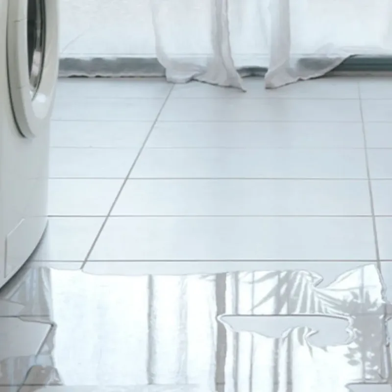 Appliance Leak Cleanup in Robersonville, NC