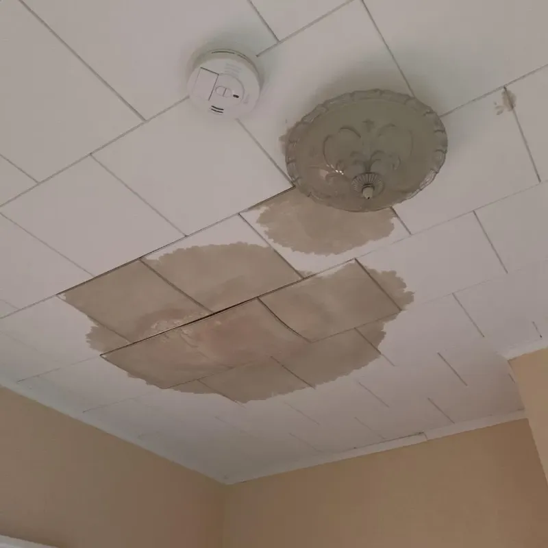 Ceiling Water Damage Repair in Robersonville, NC