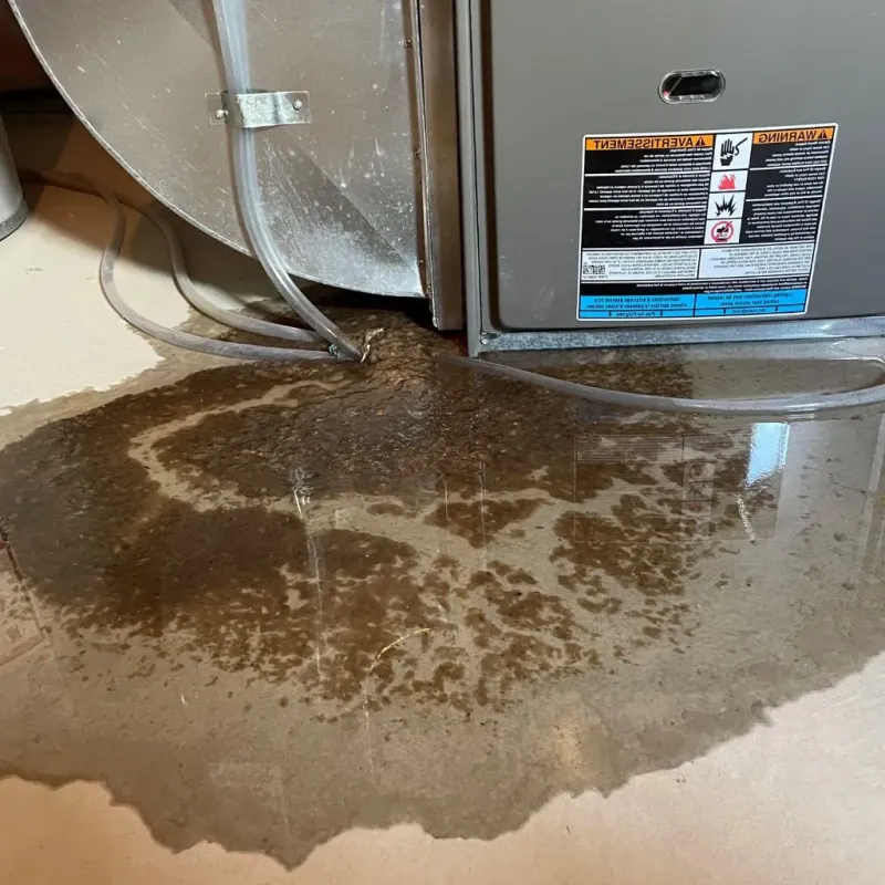 Pipe Burst and Leak Restoration in Robersonville, NC