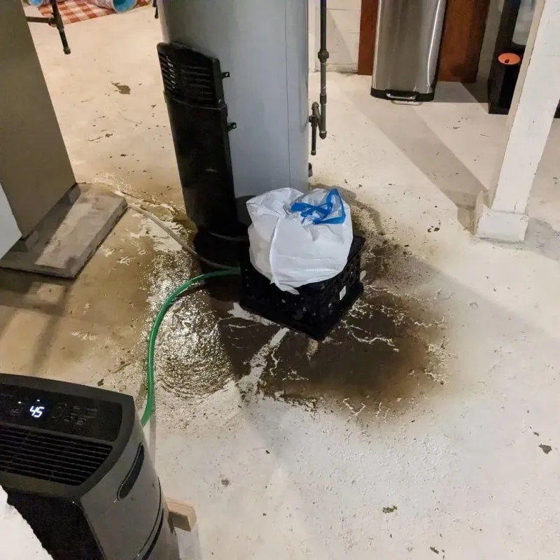 Sewage Backup Cleanup Service in Robersonville, NC